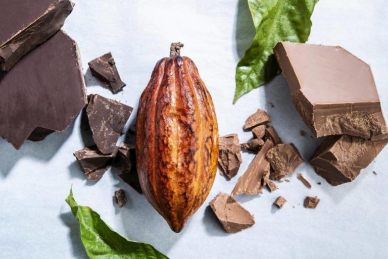 Barry Callebaut shares knowledge to improve carbon reduction goals